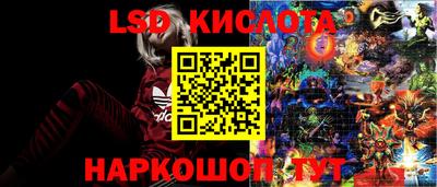 стафф Бугуруслан