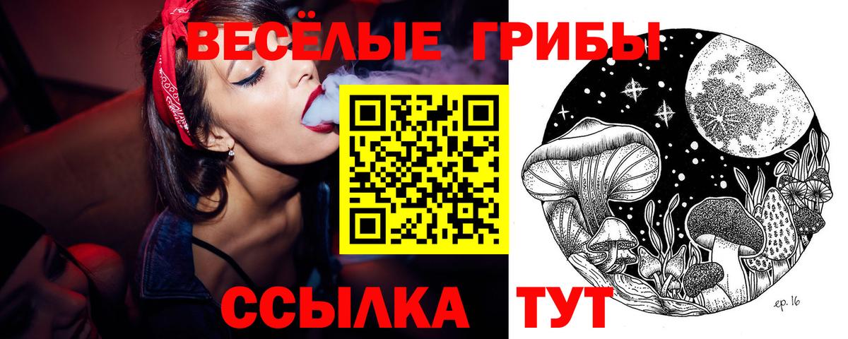 Псилоцибиновые грибы ЛСД  Галлюциногенные грибы ЛСД  Вход с VPN  Новокузнецк 